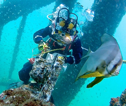 Underwater Inspection